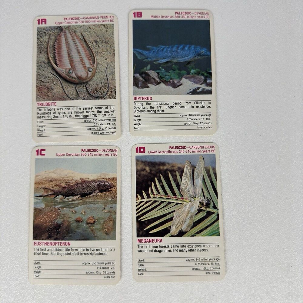 Vintage FX Schmid Animal Rummy Card Game Dinosaurs Prehistoric Animals COMPLETE - Picture 6 of 16